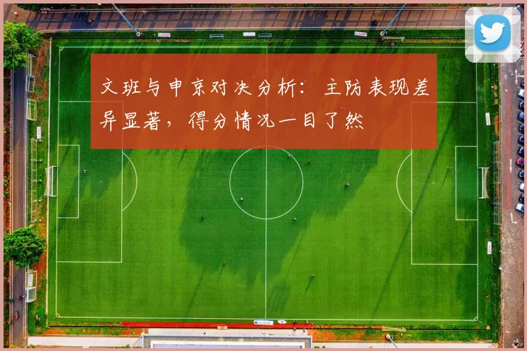 文班与申京对决分析：主防表现差异显著，得分情况一目了然